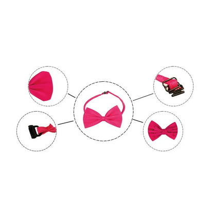 pink bow tie on white background with features such as straps are highlighted. 