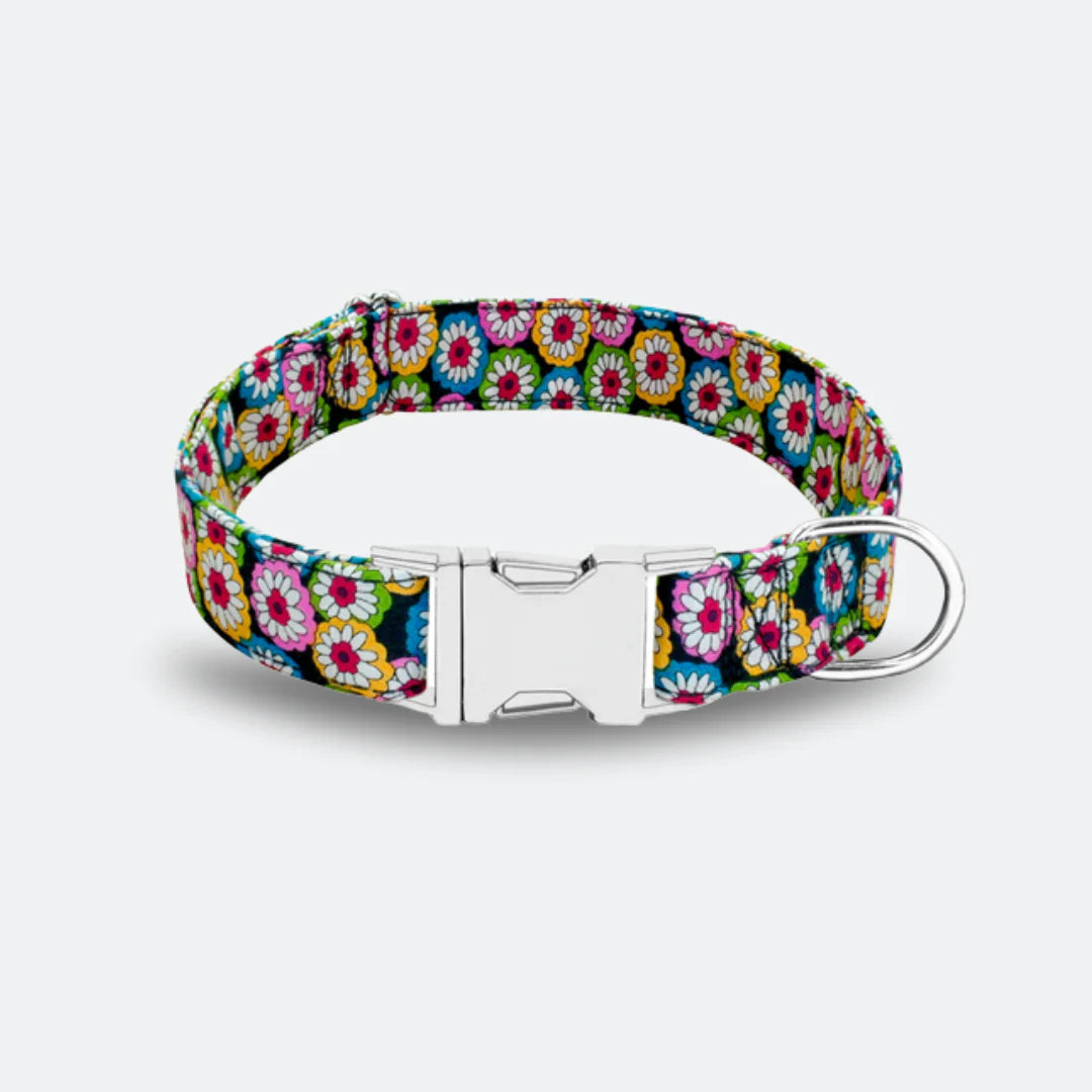 personalized dog collar with colorful flower pattern 