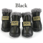 Black / Small (2)