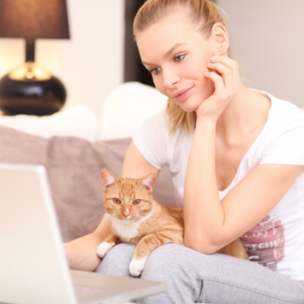 Free Discovery Session – Pets & Wildlife (20 Minutes)