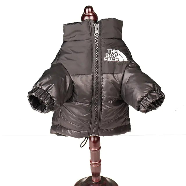  black windproof jacket on a stand, white background 