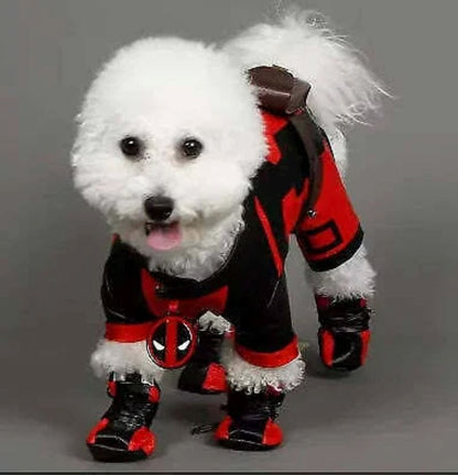 white fluffy dog wearing a Superhero cosplay costume, grey background 