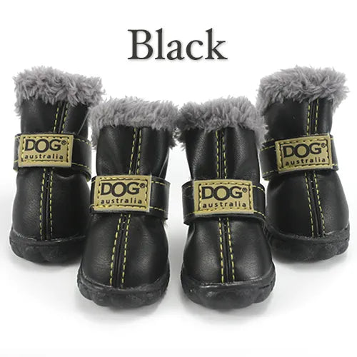 Black Pawfect Winter Boots on a white background 