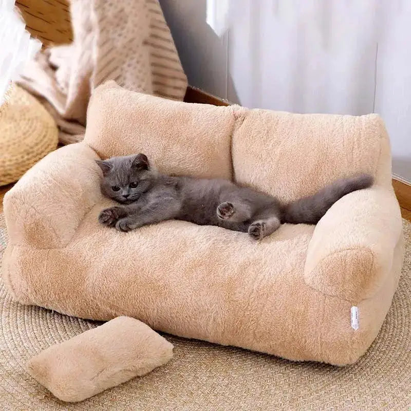 grey kitten lies on an apricot luxe pet sofa in a home setting.