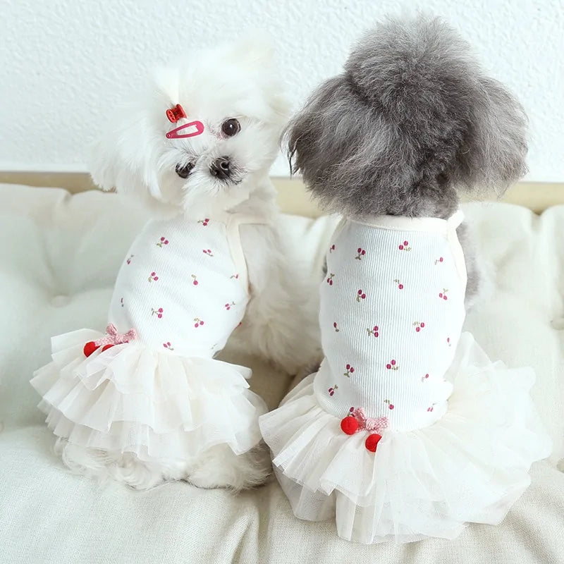 two little fluffy dogs wear the Cherry Delight Dress, sitting on a soft white cushion, one dog looks back at the camera. 