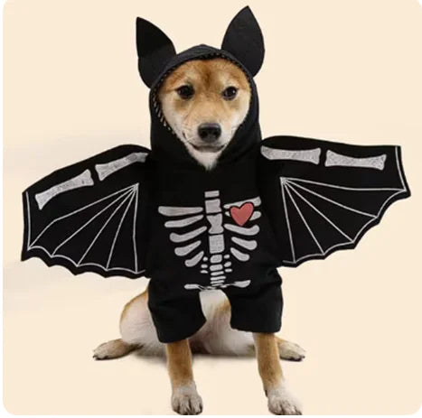 tan and white dog wears the skeleton bat costume, beige background