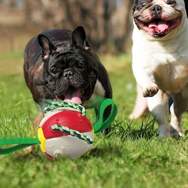 Majella's Pet Store - Unleashing Joy for Pets and Owners Alike