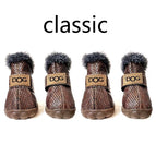 New Crocodile / Small (2)