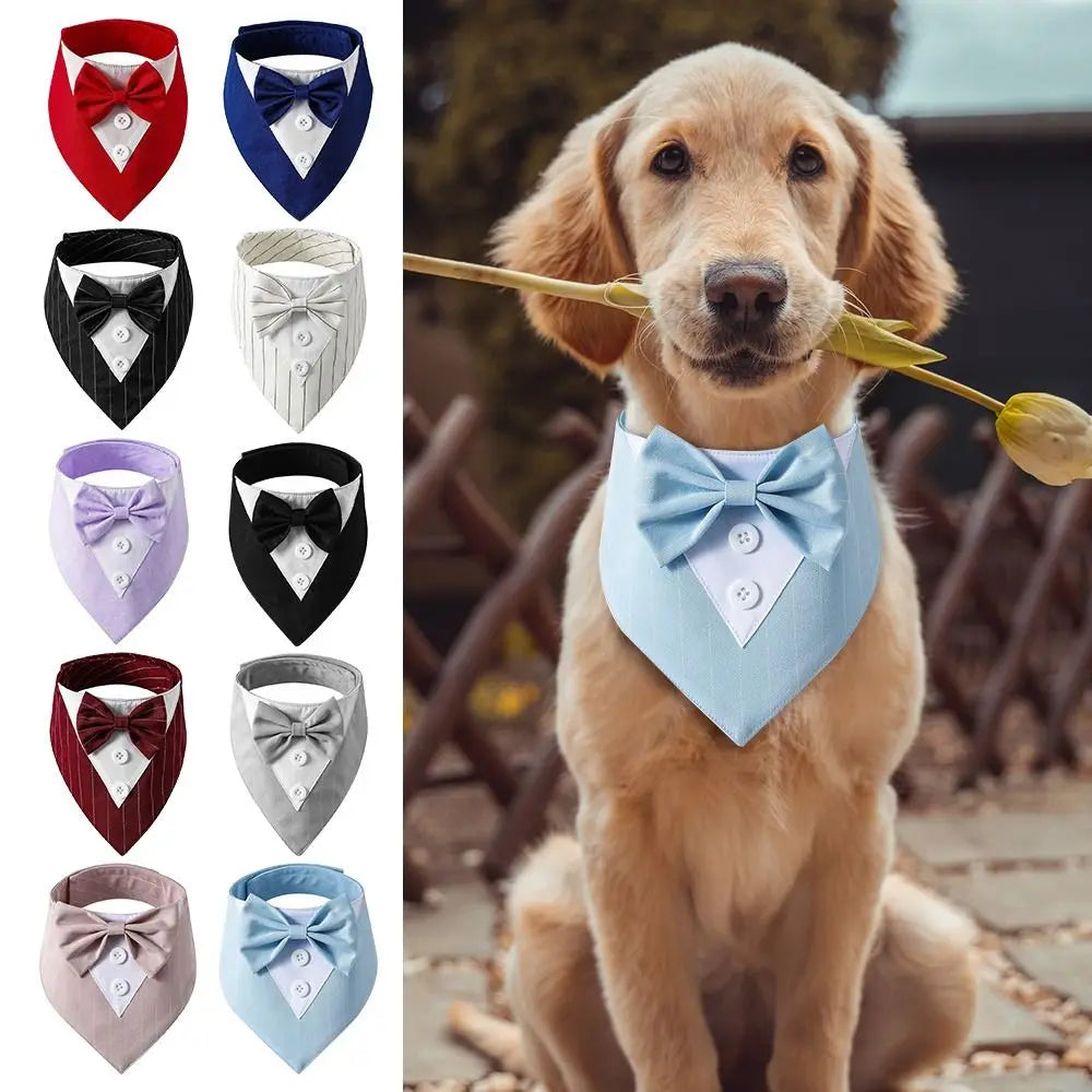 retriever pup sits with a long stemmed rose in it's mouth in an outdoor setting, wearing a light blue tuxedo bow tie. Inset to the left of main image, shows ten color varieties of the tuxedo bow ties