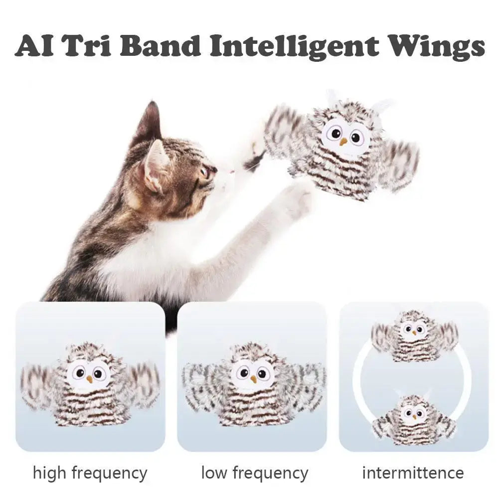 tabby and white cat plays with the owl toy on a white background, three smaller images show high frequency, low frequency and intermittence of wings