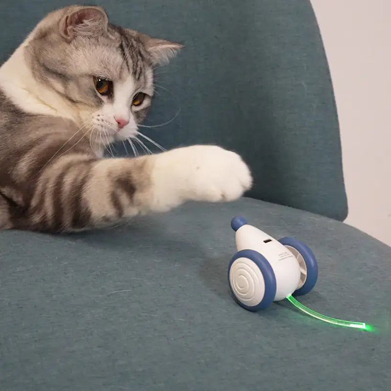 A tabby and white cat plays with the Interactive Wicked Mouse Cat Toy on a sofa in a home setting