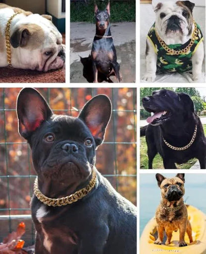 split image of six different dogs wearing Gold Rock Star Pet Chain Necklaces in various outdoor settings. 