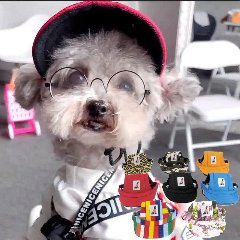 small fluffy grey and white dog wears a baseball cap and glasses in a home setting. Eight different colored caps in the foreground. 