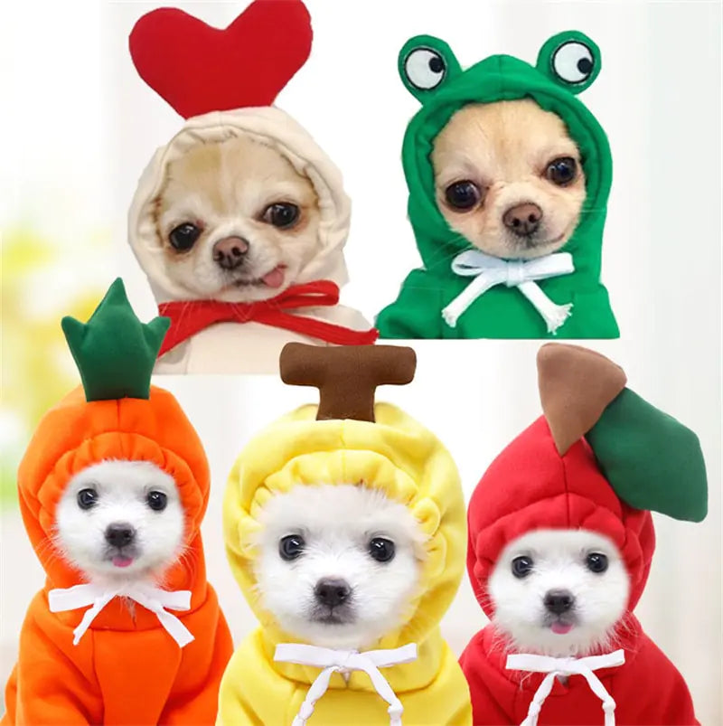 five little dogs wearing different designed Fruit hoodies, white background