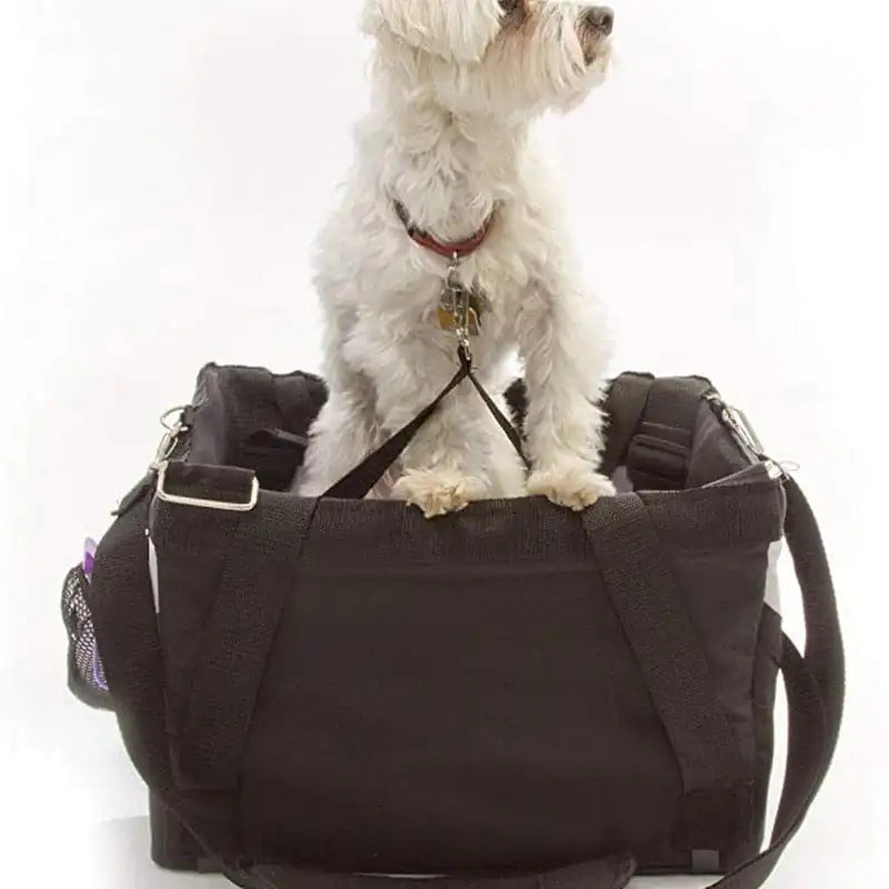 close up of a small white dog inside the pet bicycle basket carrier, with a strap attached to the dog's collar, white background. 