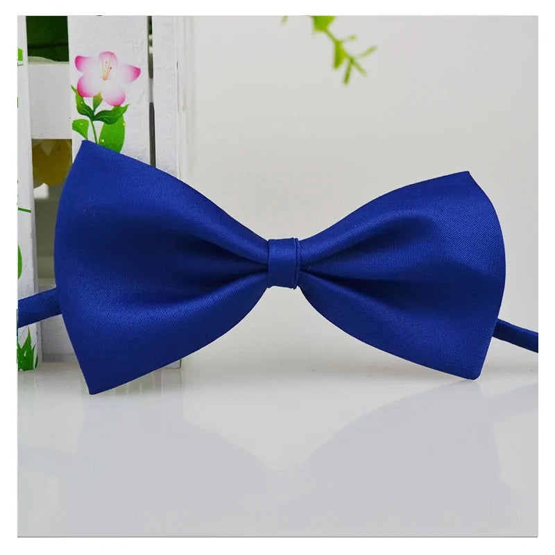 Royal blue bow tie on a white background 