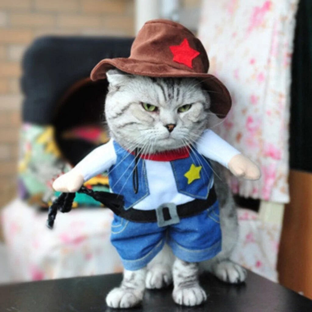 cat wears a sheriff costume in a home setting