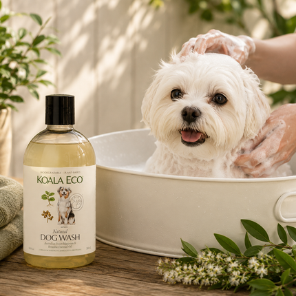 Koala Eco Dog Wash – Marjoram & Rosalina 500ml