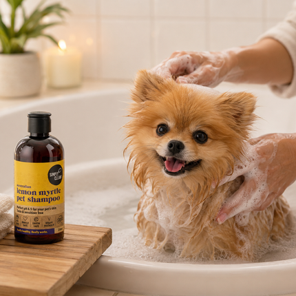 A small fluffy tan dog sits in a bubble bath while being washed by human hands. A bottle of lemon myrtle pet shampoo is placed on a wooden tray beside the tub.