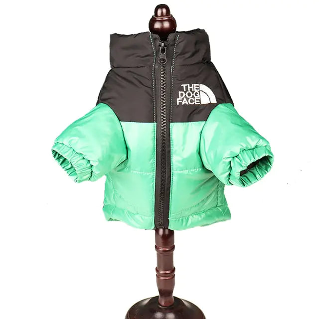 green and black windproof jacket on a stand, white background 