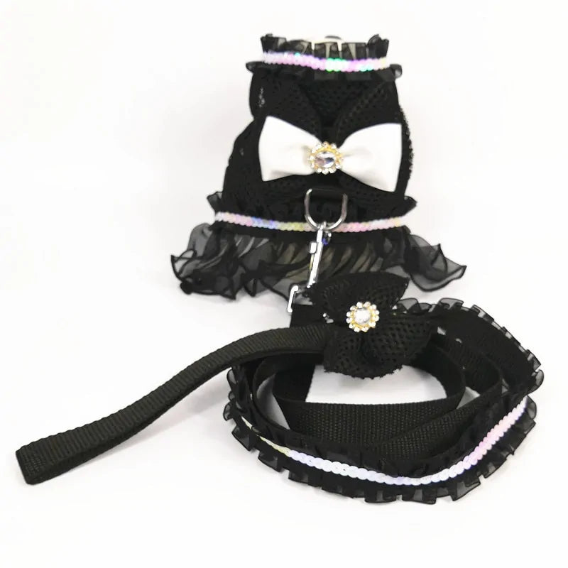 black Divine Princess Pet Ensemble on white background 