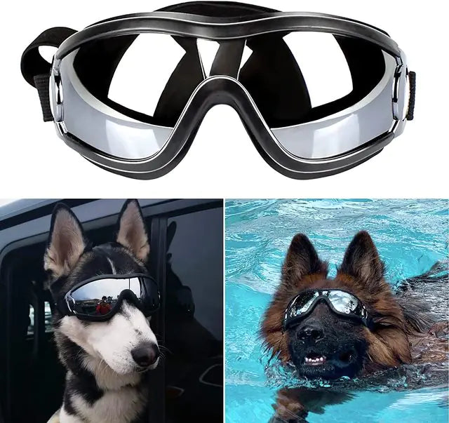 main image of goggles on white background, below, a Husky rides in a vehicle wearing the goggles and a Shepherd wears the goggles in a pool. 