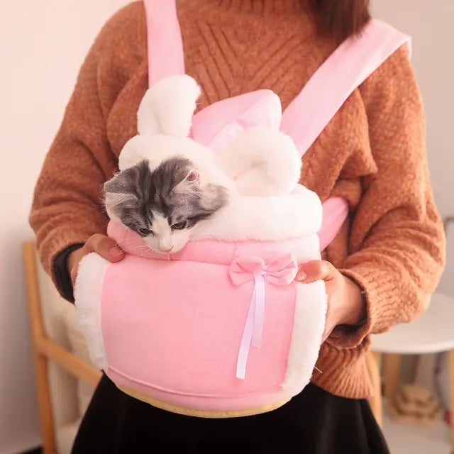 grey and white tabby kitten inside a pink pet carrier bag, strapped to a woman wearing a brown pullover.