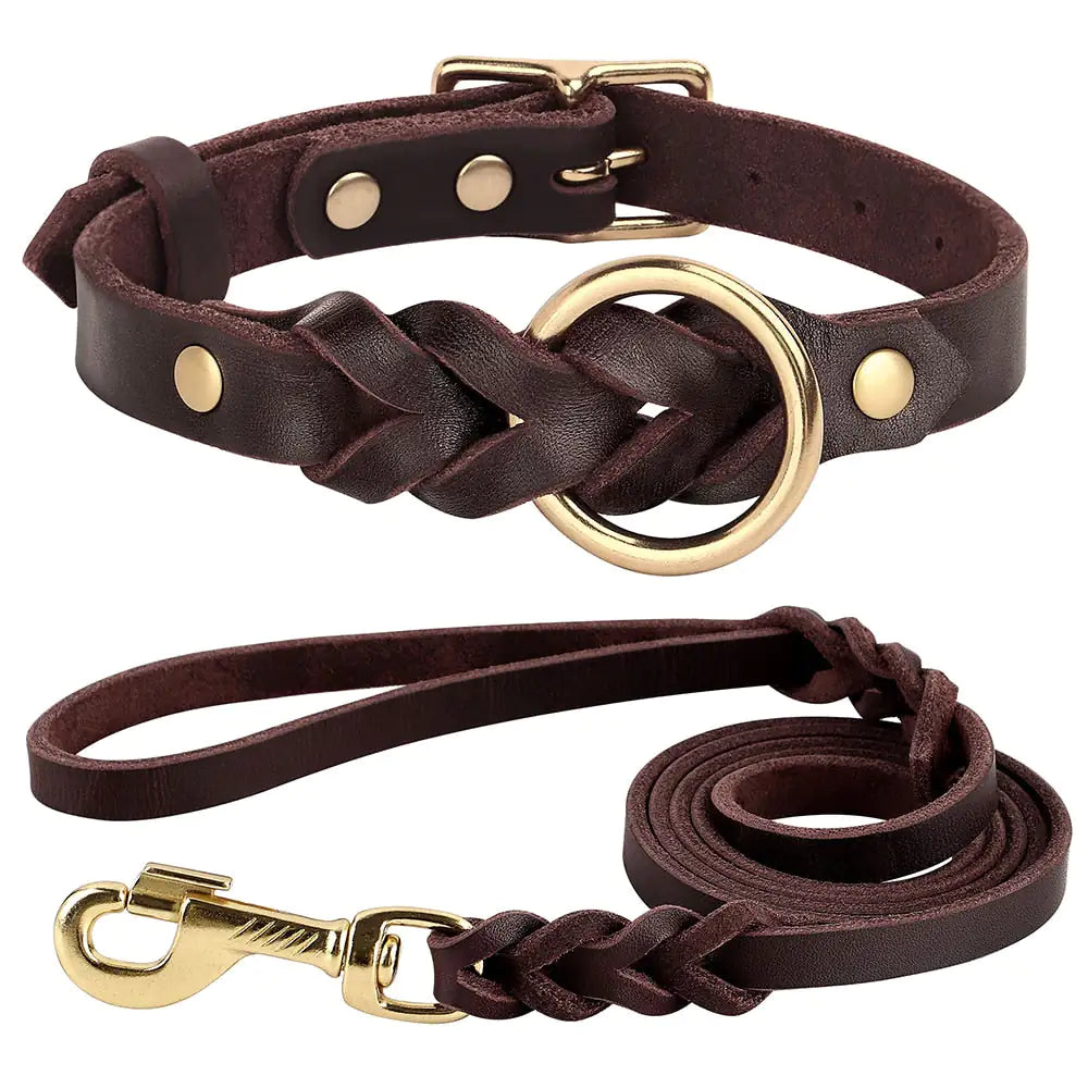 brown leather braided collar and leash set on white background. 