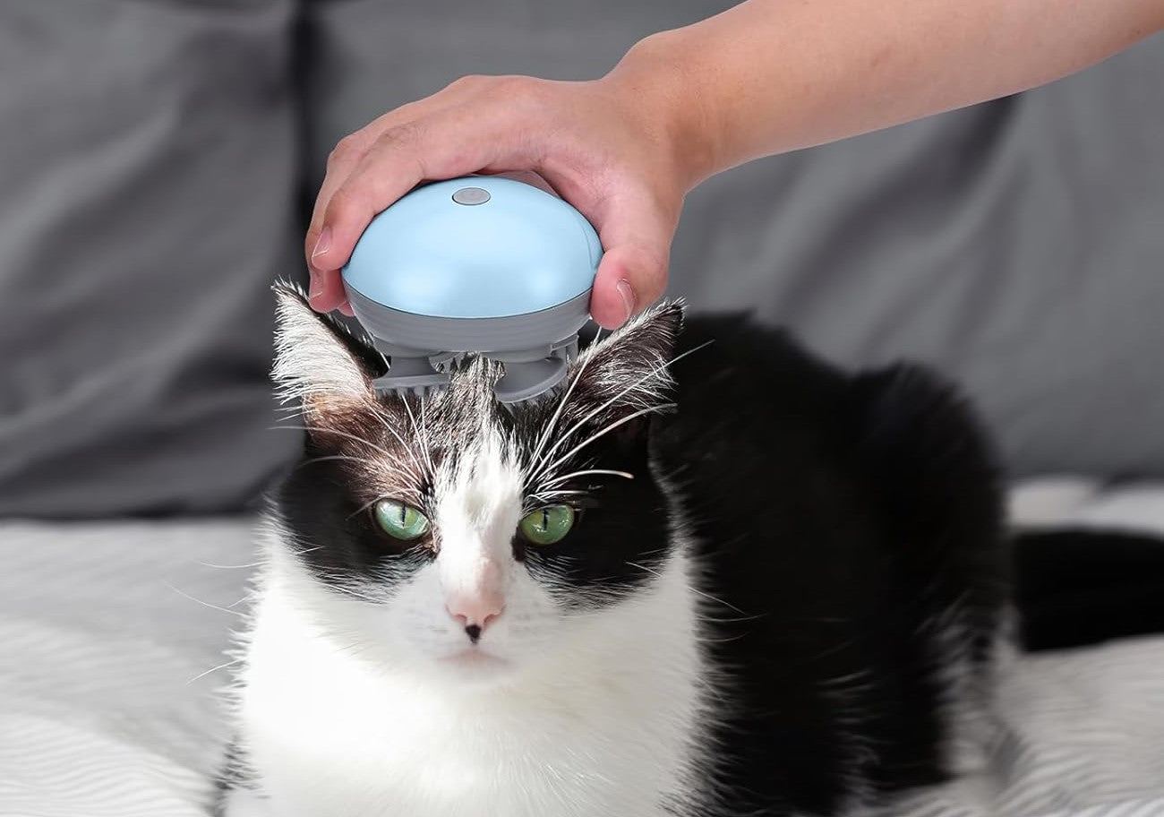 black and white cat having it's head massaged using the Paws & Relax Wireless Massager in a  home setting 