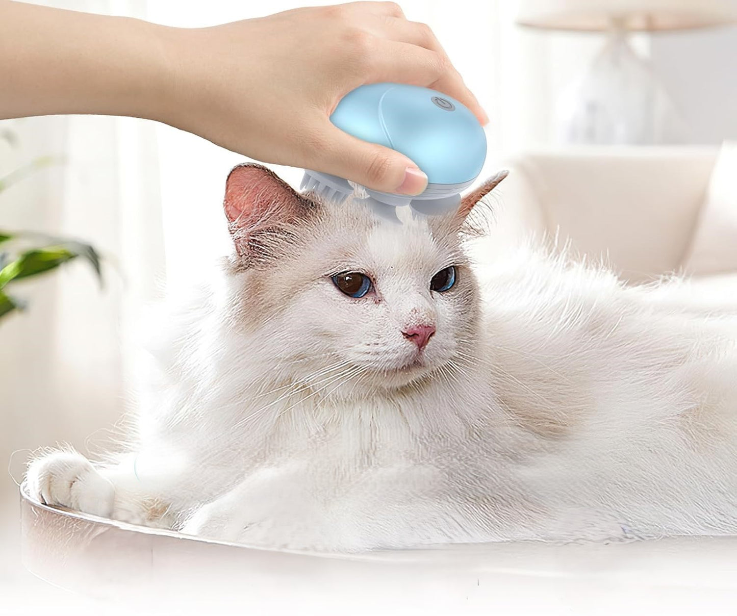 white fluffy cat sits in it's bed getting it's head massaged using the Paws & Relax Wireless Massager in a home setting. 