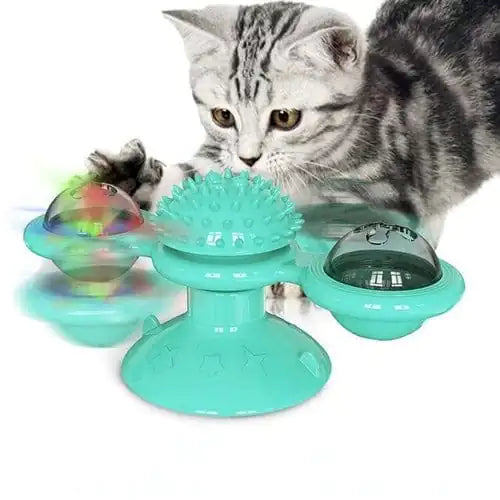 A grey tabby cat interacts with a Green Purrfect Spin-N-Twist Cat Toy on a white background