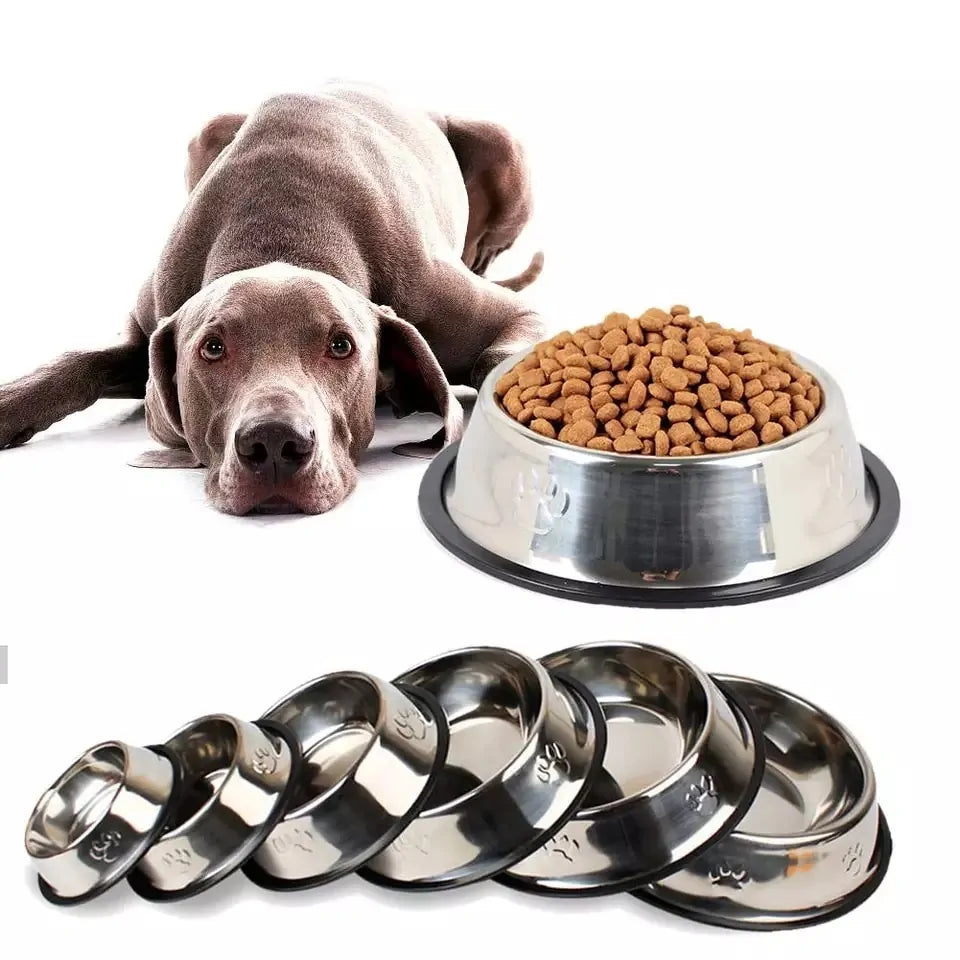 Weimaraner dog lies on the floor in the background, a Hygienic Non-Slip Stainless Pet Bowl filled with dry food is in the foreground. The six size variants are at the bottom of the image. white background