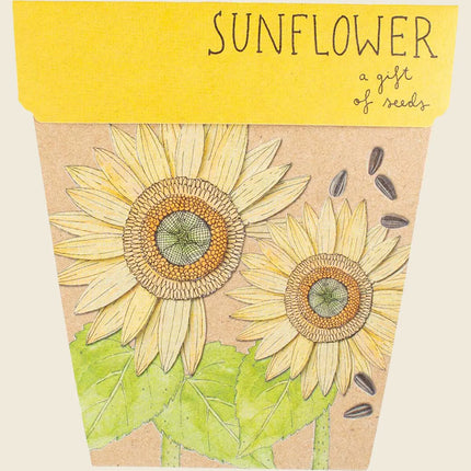 Sow 'n' Sow Sunflower Seeds