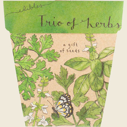 Sow 'n' Sow Trio of Herbs Seeds