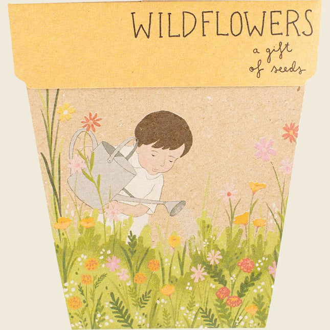 Sow ’n’ Sow – Gift of Seeds: Wildflowers