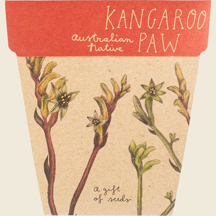 Sow 'n' Sow Kangaroo Paw Seeds