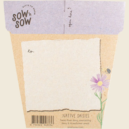 Sow ’n’ Sow – Gift of Seeds: Daisies (Native)