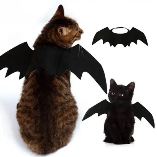 brown tabby cat and small black kitten, both wear a bat wing costume on a white background, smaller image of bat wing costume is at top of main image. 