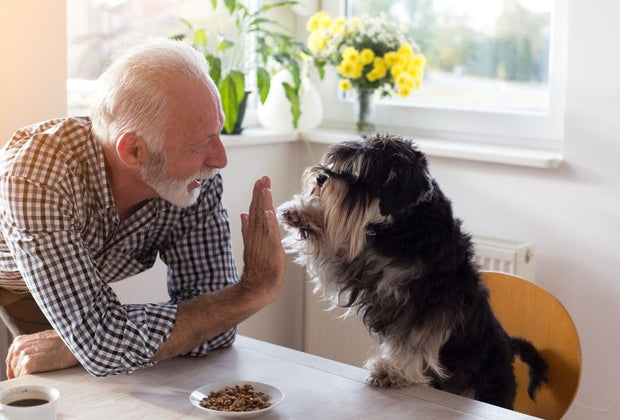 <h3>Confused by conflicting pet advice?</h3>