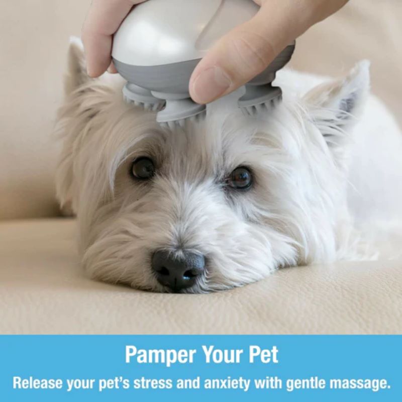 West Highland White Terrier lies on a beige sofa, whilst getting his head massaged using the Serene Paws Electric Massager. 