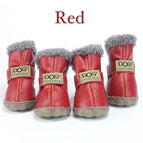 Red / Medium(3)