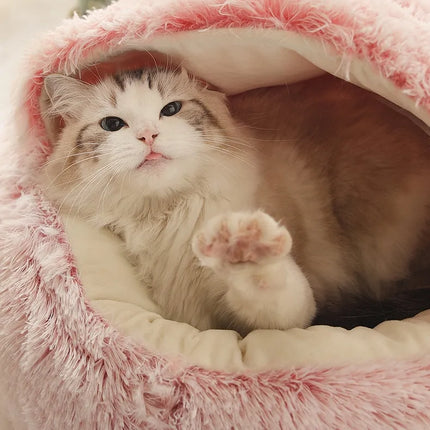 cute kitten lifts a paw, while lying in a pink snuggle bed in a home setting