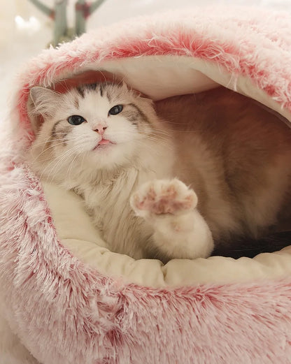 cute kitten lifts a paw, while lying in a pink snuggle bed in a home setting