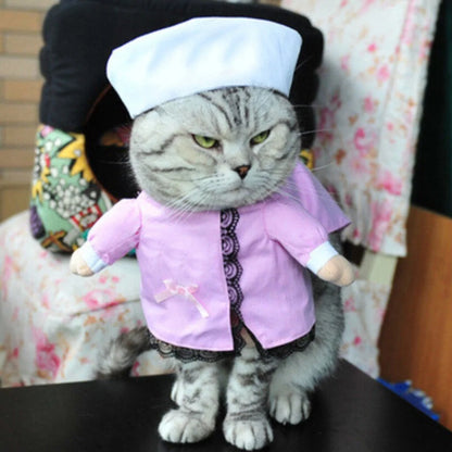 cat wears a chef costume in a home setting