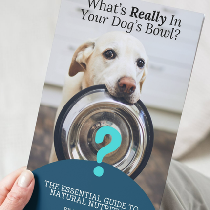 Hands holding the book - What's Really in Your Dog's Bowl. 