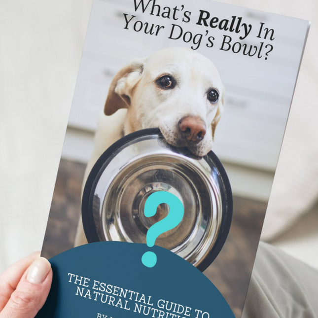 Hands holding the book - What's Really in Your Dog's Bowl. 