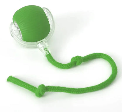 Green Roll ‘n’ Pounce Cat Toy on white background