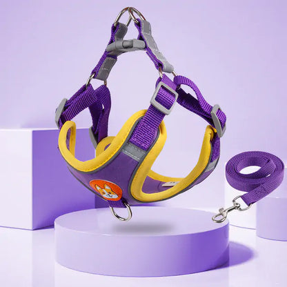 Purple harness and leash on purple display background. 