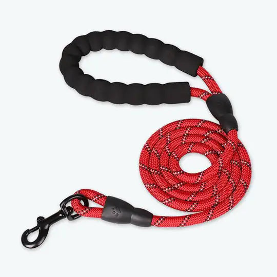 Red Power Leash on a white background.