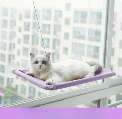 a white cat lies on a purple suspended cat bed, attached to a window in a high rise apartment building. 